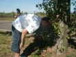 Akce na Mušově 2006